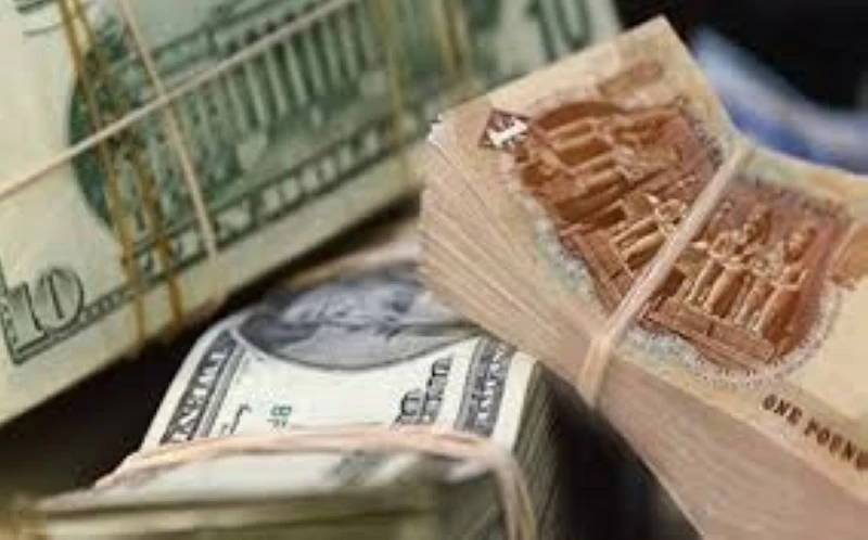 Sudden rise in dollar price against Egyptian pound – Saudi News