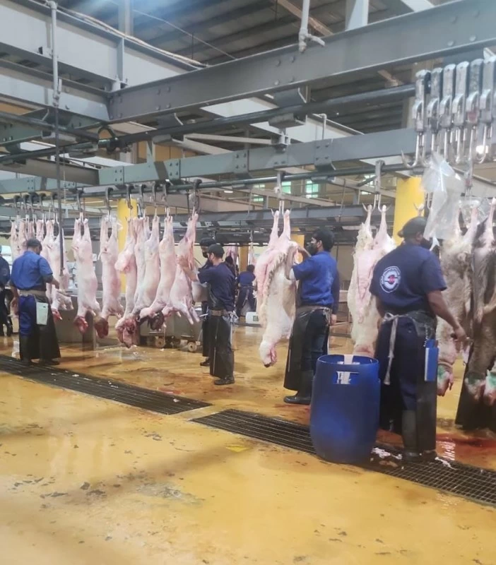 Meat price in Taif exceeds 80 riyals per kilo, demand is suppressed – Saudi News