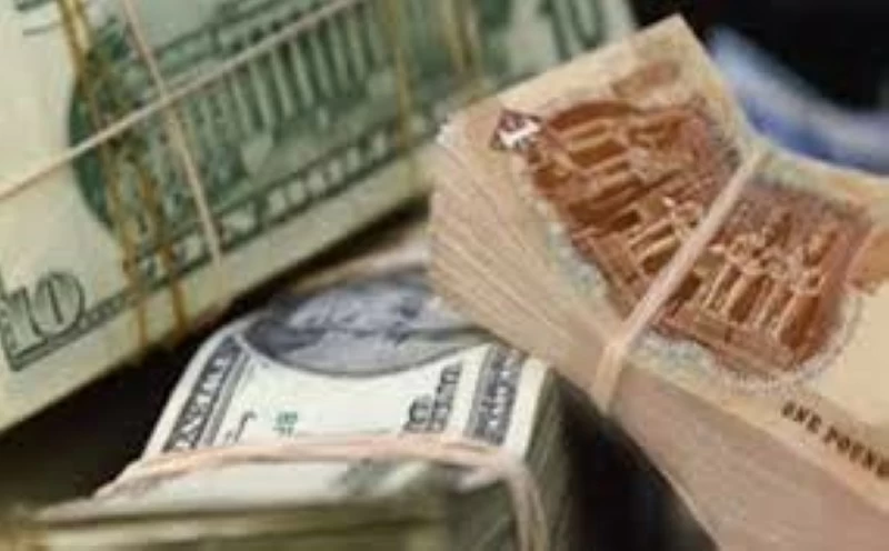 Egypt: dollar rises by more than 50 pounds – Saudi News